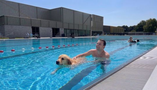Hond en Baas zwemmen
