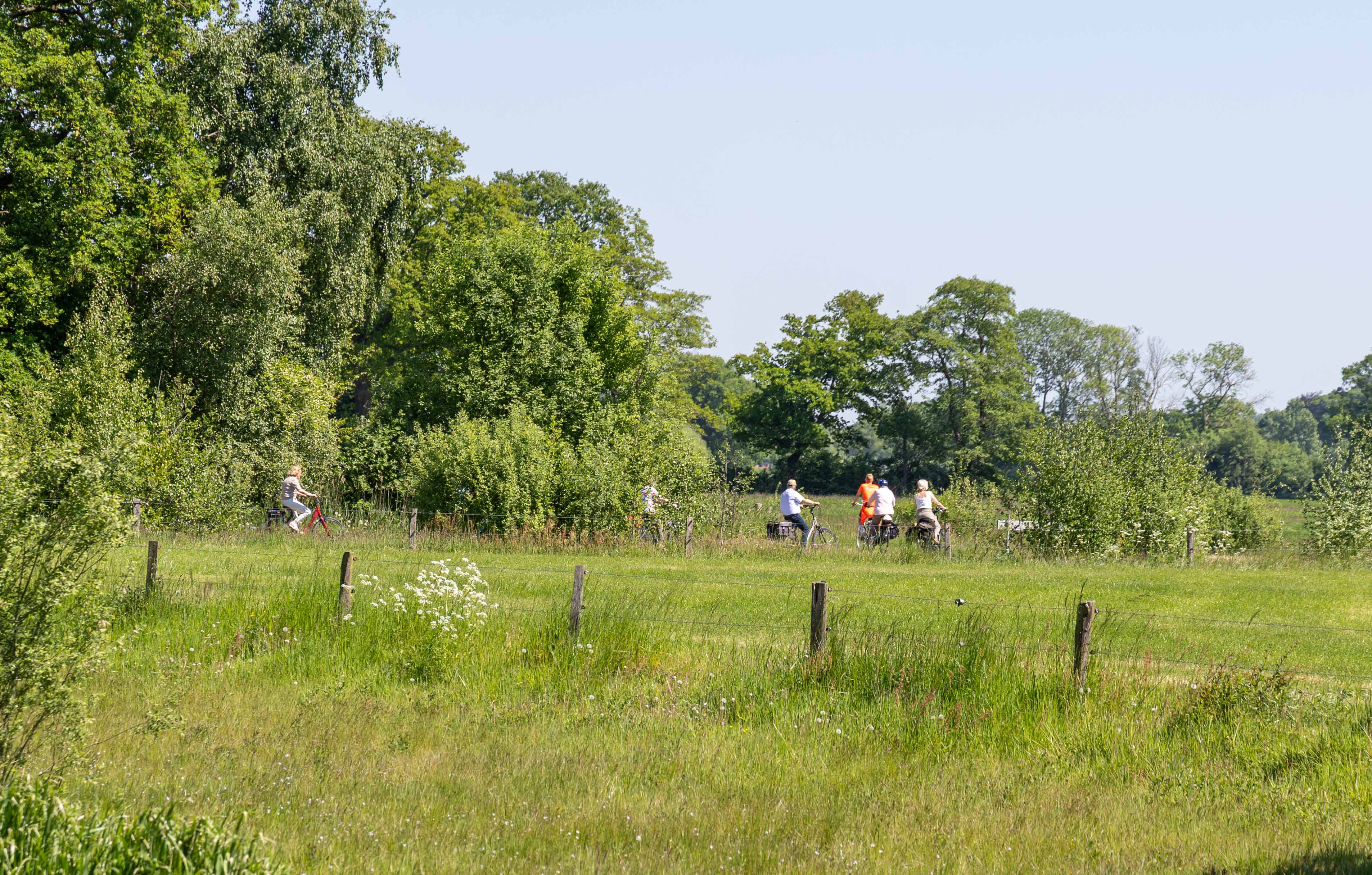 Fietsclub WEB-15.jpg
